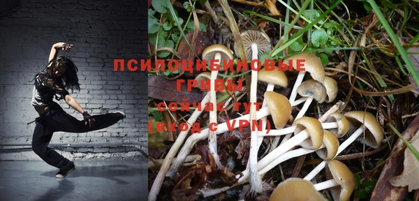 ALPHA PVP Армянск